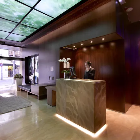 Hotel Bibo Recogidas Granada